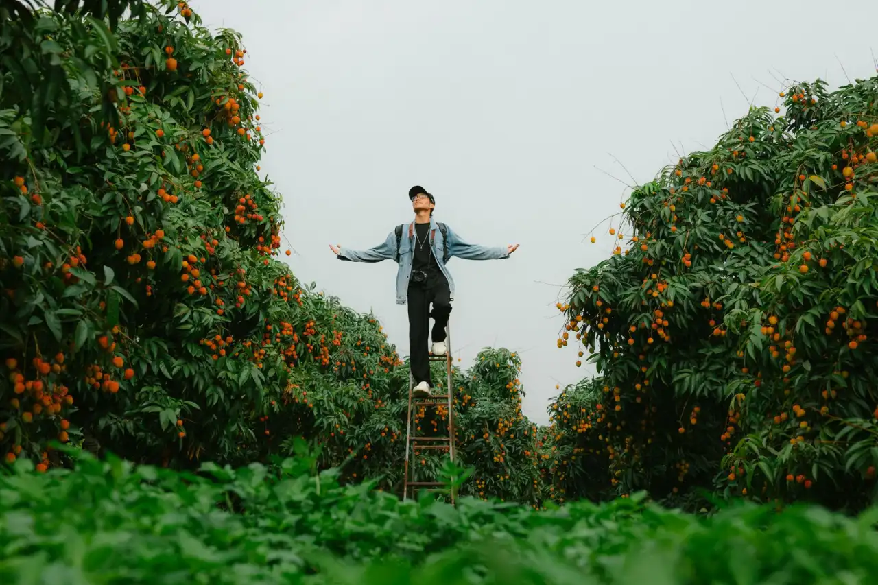 西南制造企业自动化升级方案：智能设备电子元器件供应链优化实践